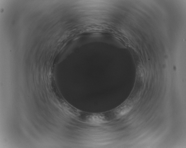 X0000073400223200607281133