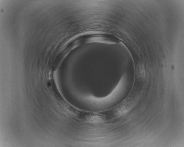 X0000073400224200607281133