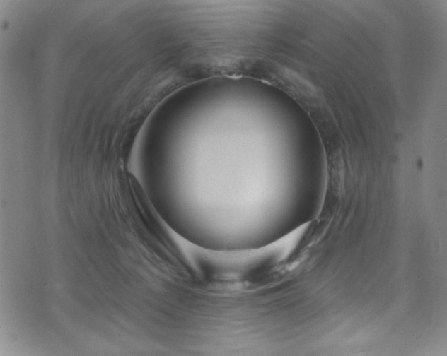 X0000073400225200607281133