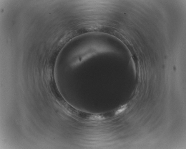X0000073400227200607281133