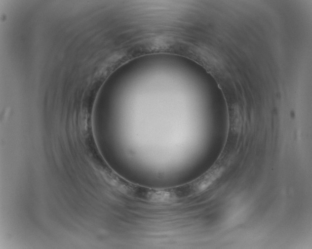 X0000073400230200607281132