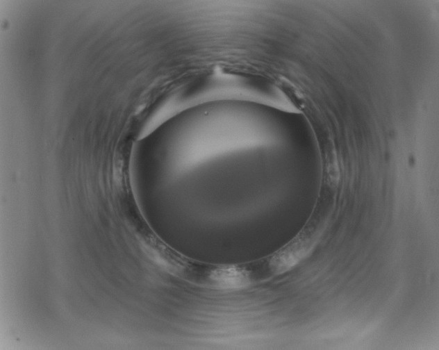 X0000073400231200607281132