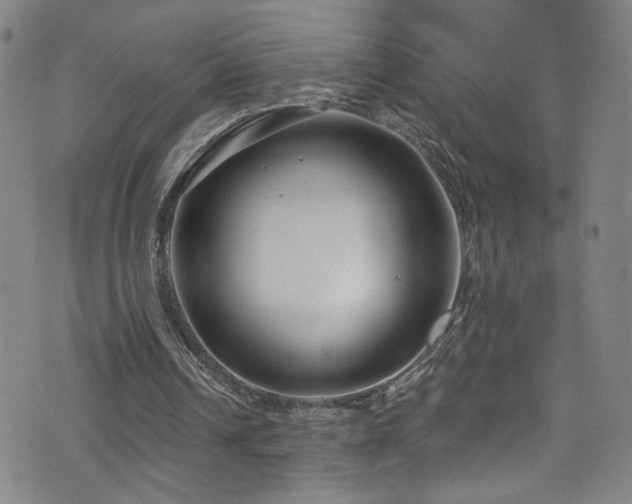 X0000073400242200607281132