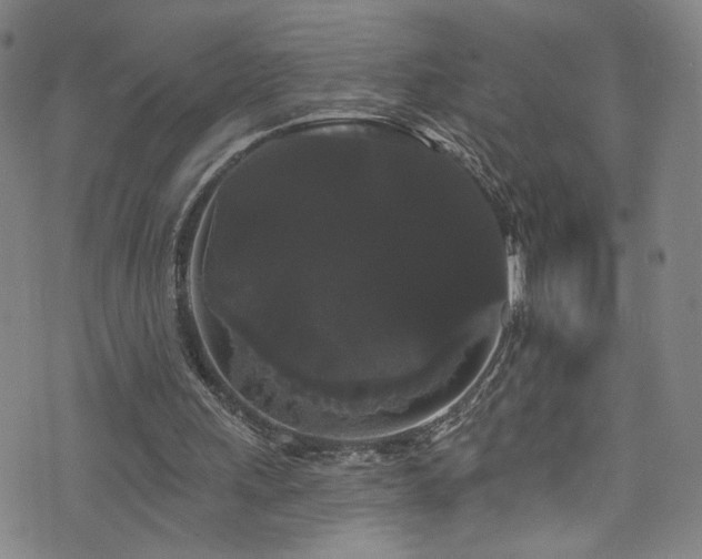 X0000073400243200607281132