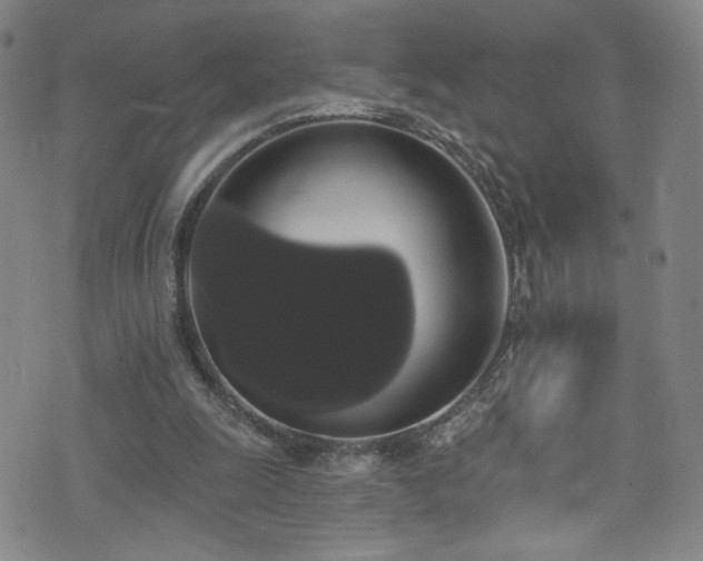 X0000073400247200607281132