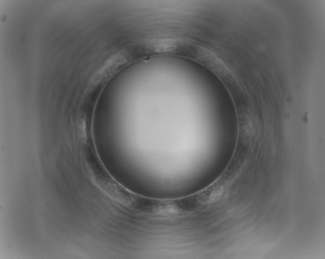 X0000073400262200607281132