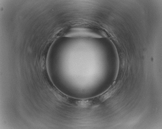X0000073400273200607281132
