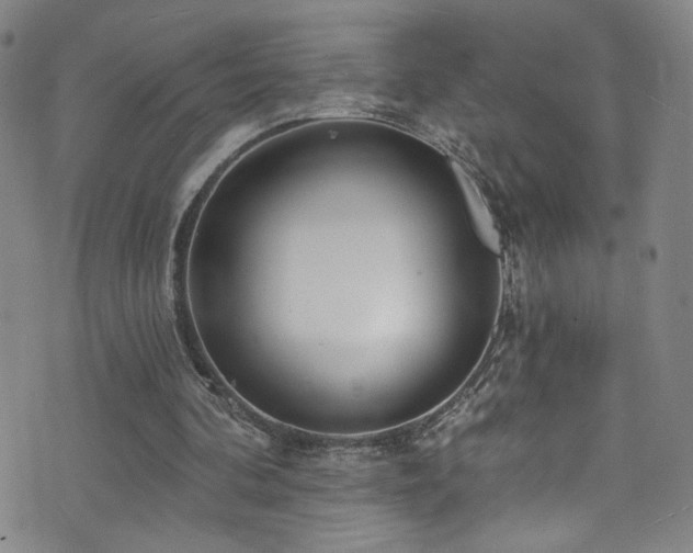X0000073400292200607281131