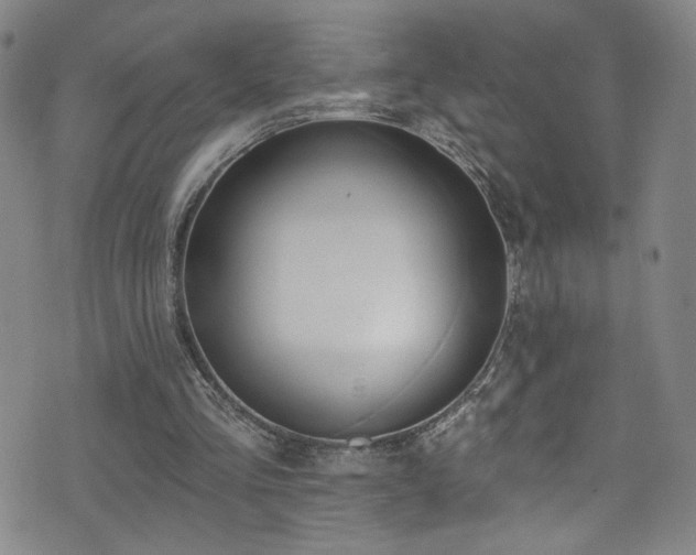 X0000073400293200607281131