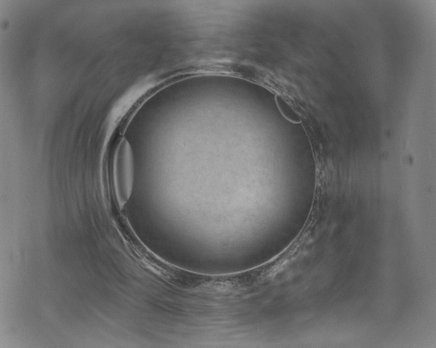 X0000073400294200607281131