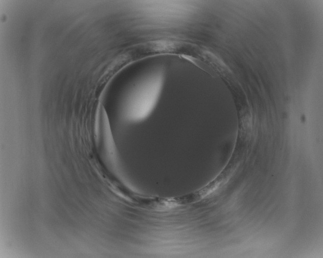 X0000073400325200607281131