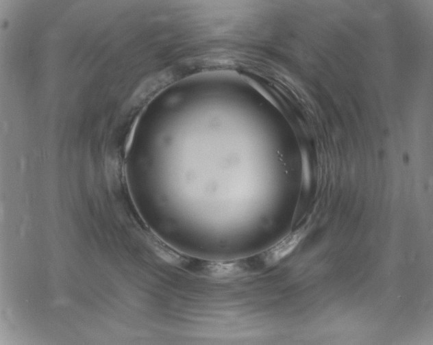 X0000073400333200607281131