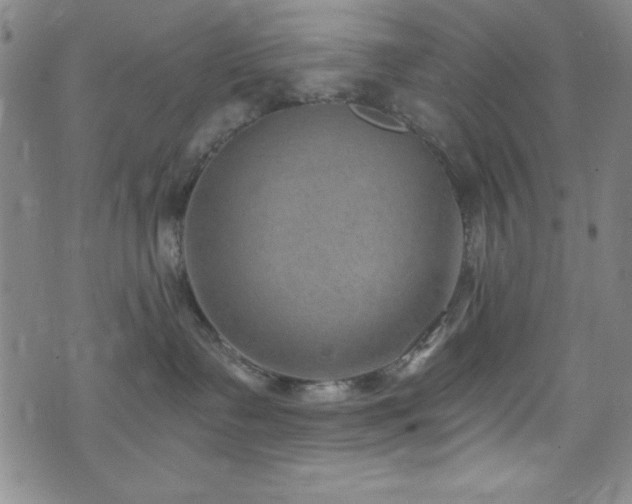 X0000073400335200607281131