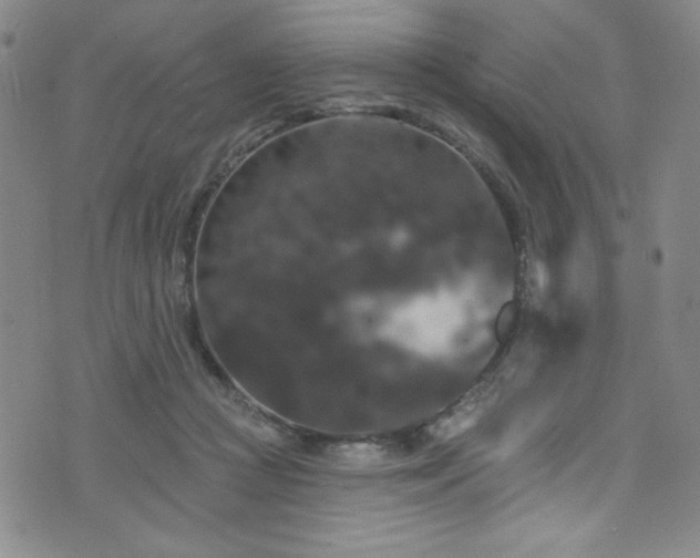 X0000073400361200607281130