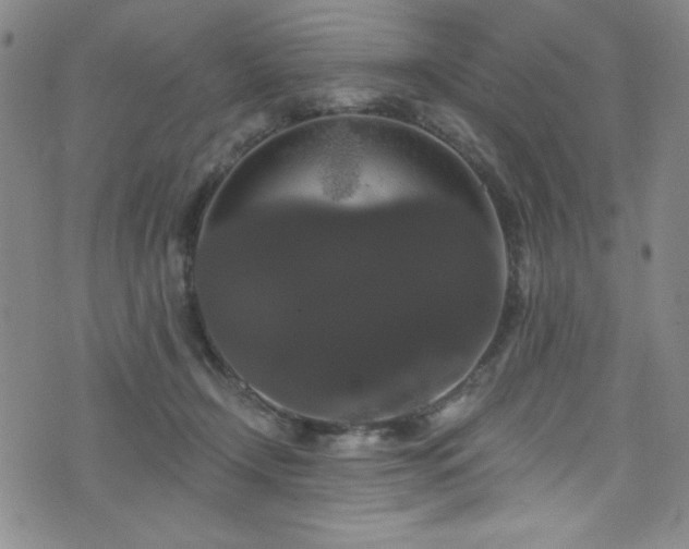 X0000073400366200607281130