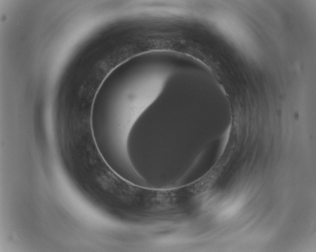 X0000073400383200607281131