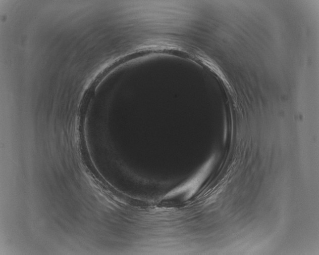 X0000073400387200607281130