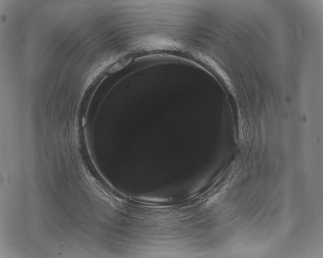 X0000073400391200607281130