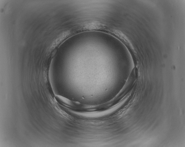 X0000073400393200607281130