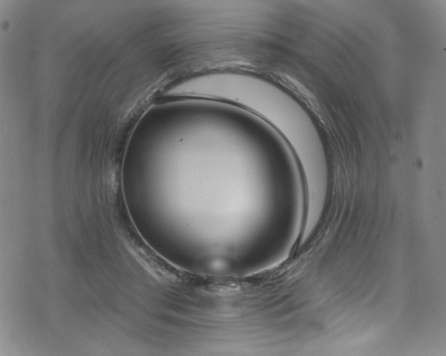 X0000073400405200607281130