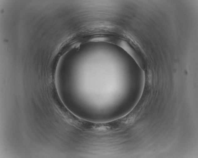 X0000073400407200607281130