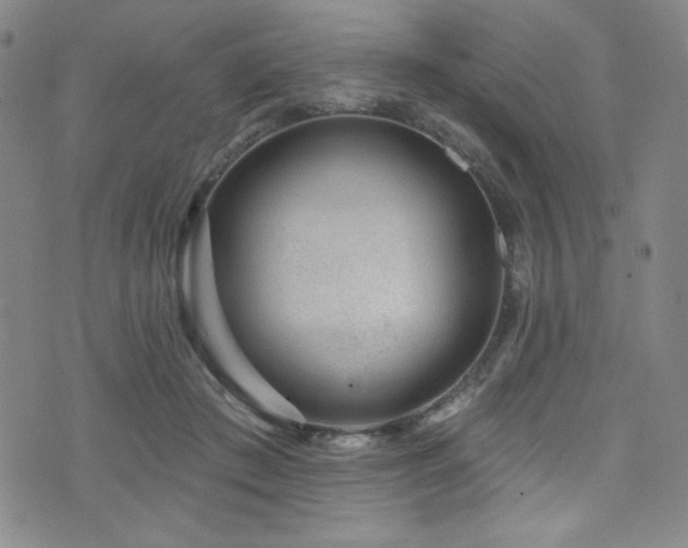 X0000073400409200607281130