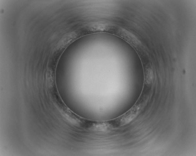 X0000073400414200607281129