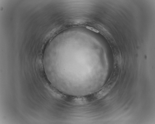 X0000073400415200607281129