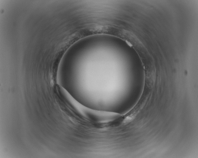 X0000073400416200607281129
