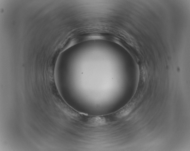 X0000073400421200607281129