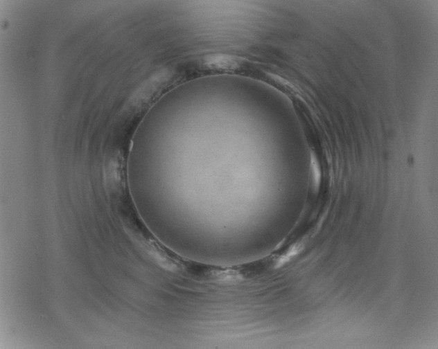 X0000073400424200607281129