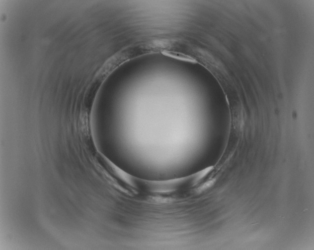 X0000073400425200607281129