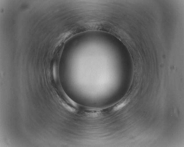 X0000073400432200607281129