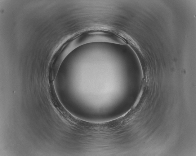 X0000073400436200607281128
