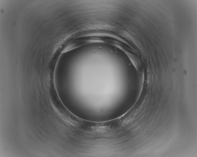 X0000073400448200607281129
