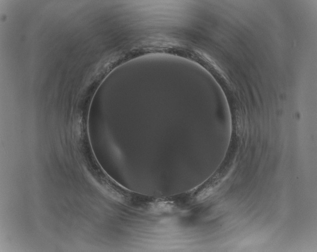 X0000073400451200607281129