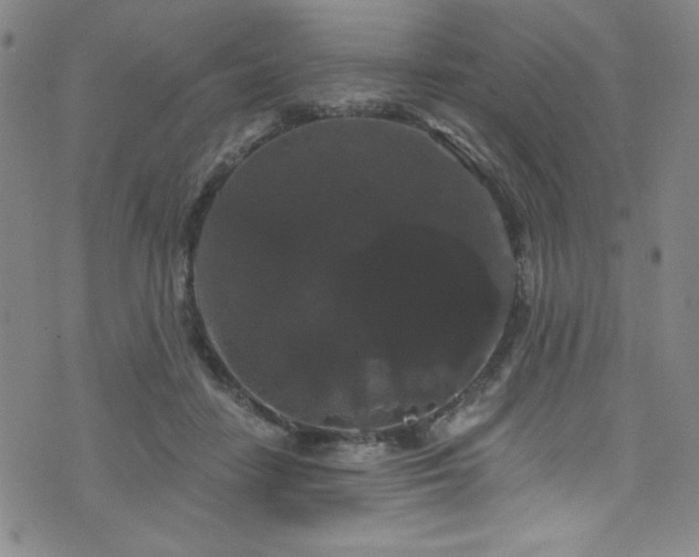 X0000073400458200607281129