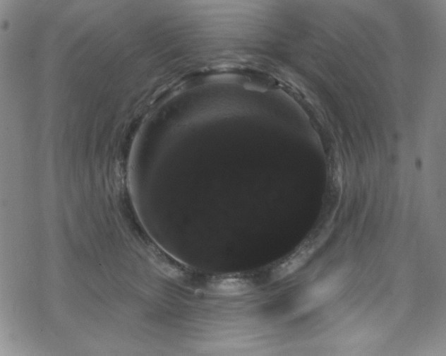 X0000073400467200607281129