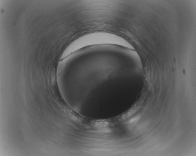 X0000073400471200607281129