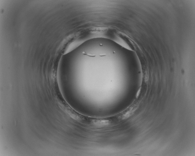 X0000073400476200607281129