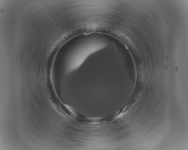 X0000073400496200607281128