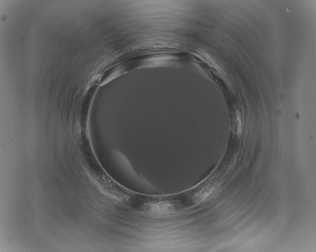 X0000073400500200607281128