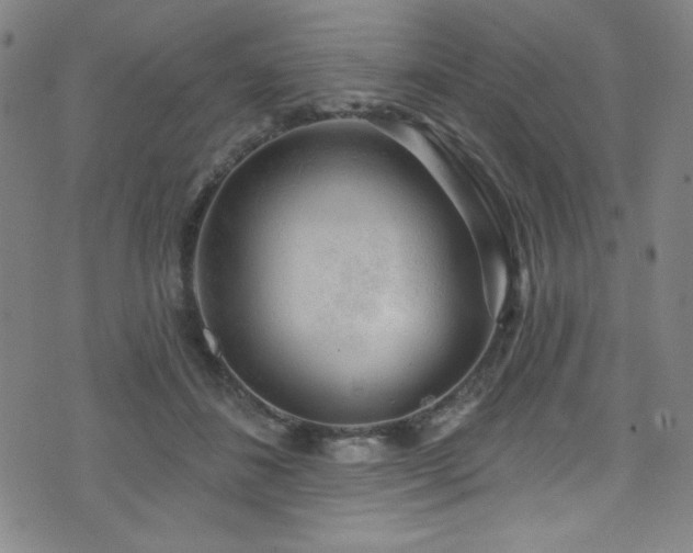 X0000073400508200607281128