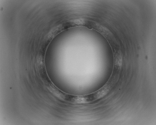 X0000073400518200607281128