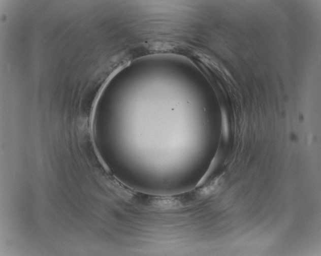 X0000073400521200607281128