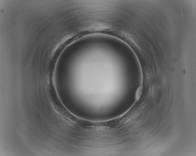 X0000073400539200607281127