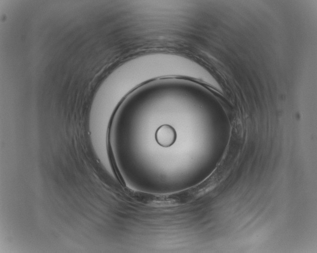 X0000073400556200607281127