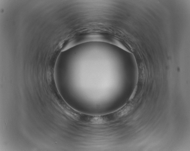 X0000073400562200607281127