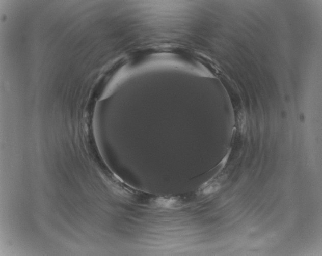 X0000073400570200607281128