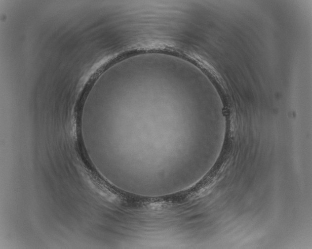 X0000073400584200607281127